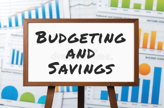 Budgeting Tips for Beginners• Savvy Budget Boss